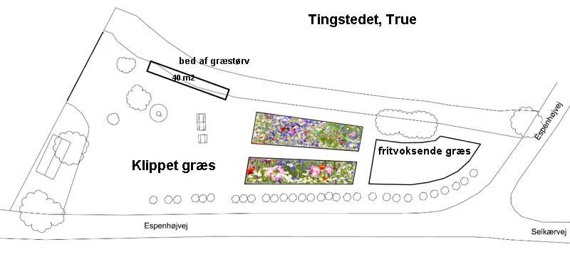 Oversigt over Tingstedet